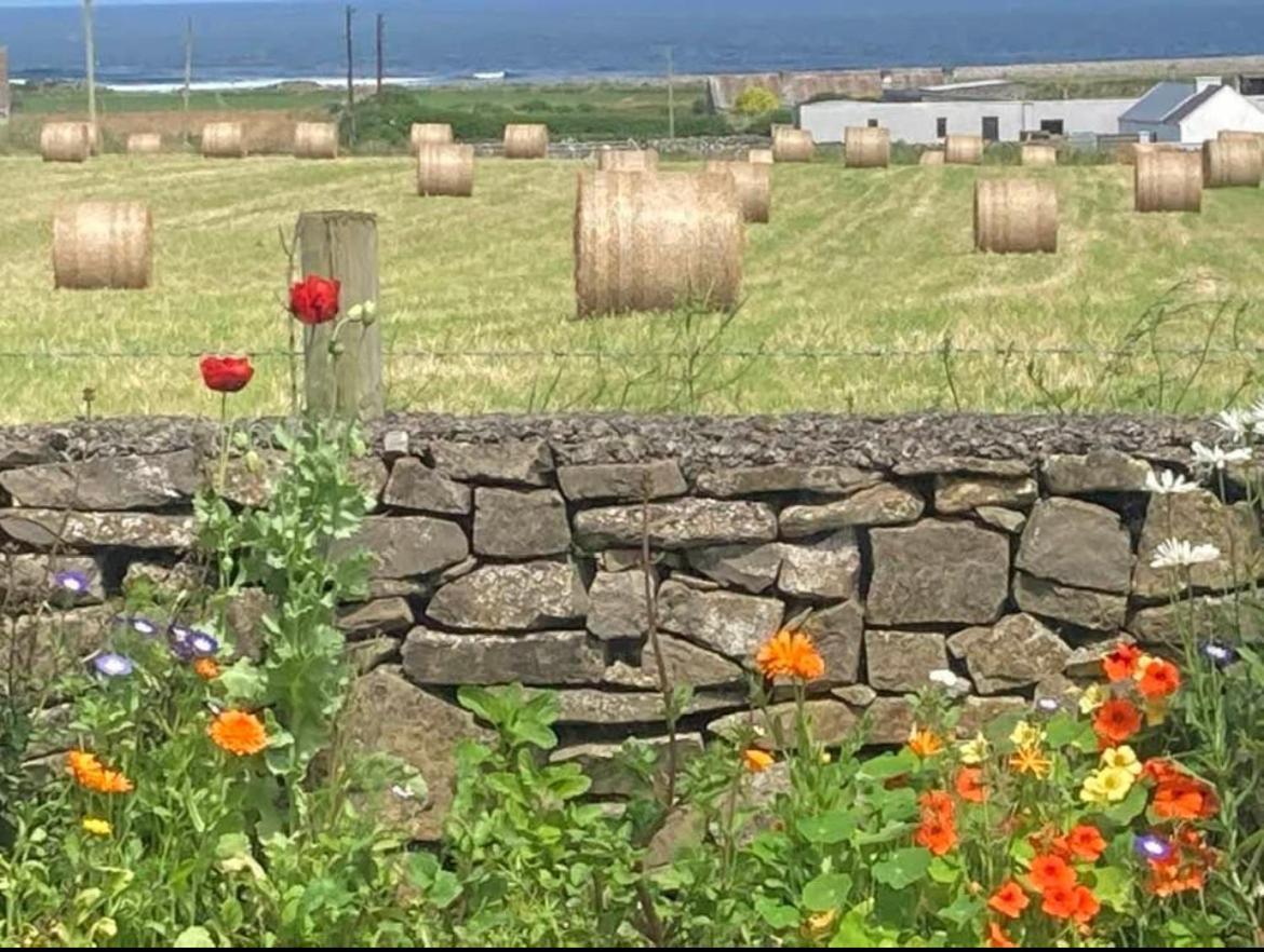 슬라이고 Wild Atlantic View B&B 외부 사진